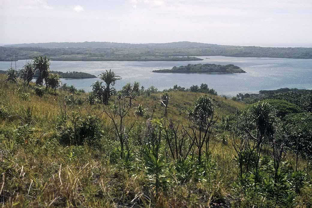 Tarang, O'Keefe's Island