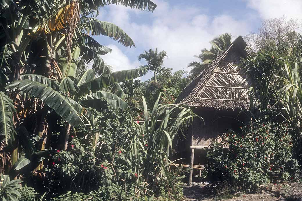 Traditional house in Dugor