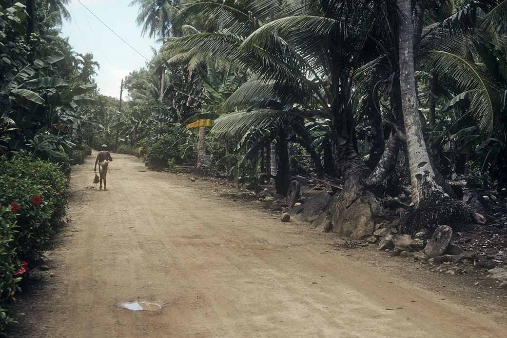 Road in Gagil