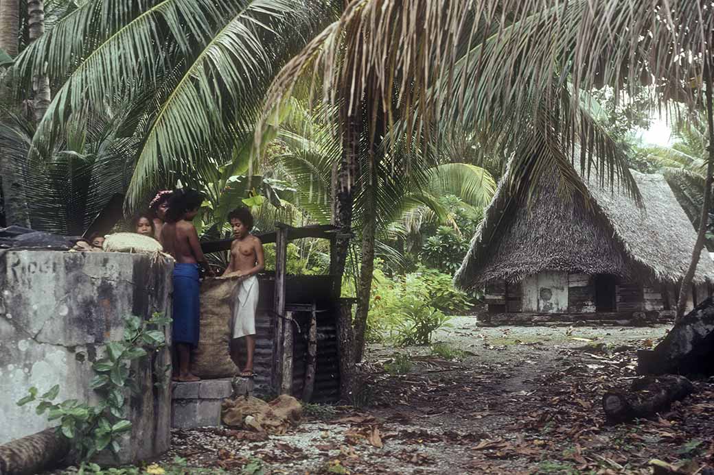 Putting copra in bags, Woleai