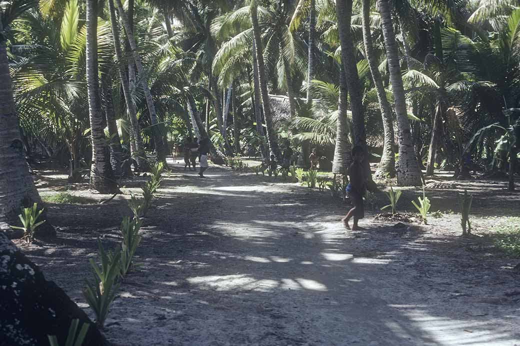 Road in the village, Falalop, Ifalik