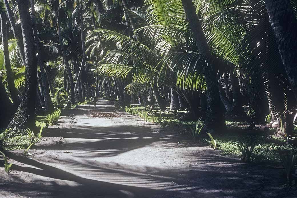 Road in the village, Falalop, Ifalik