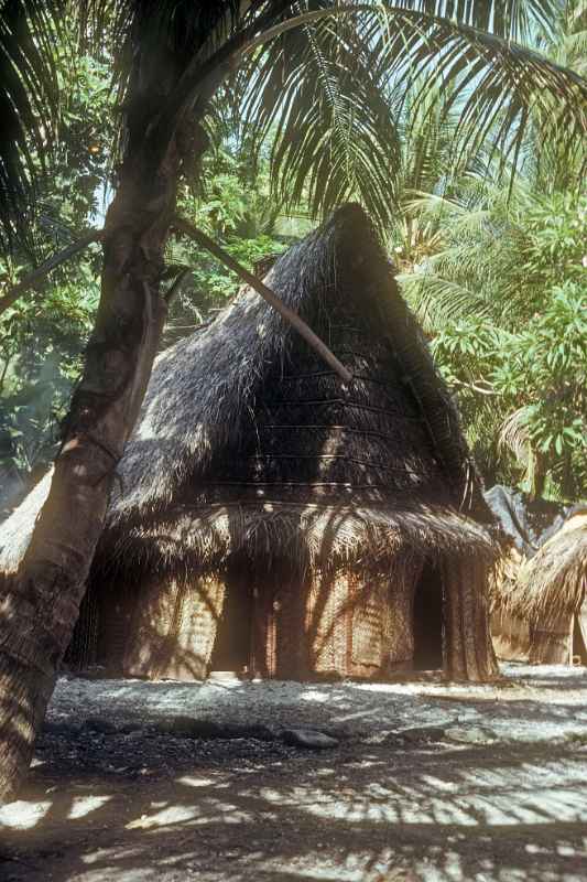 Traditional house, Falalop, Ifalik