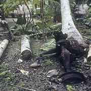 Remains of Japanese truck, Woleai