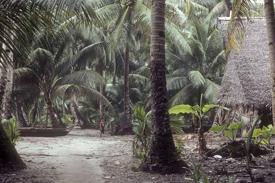 Village scene, Lamotrek