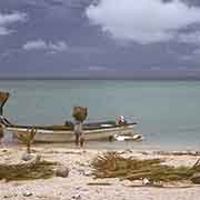 Loading copra, Olimarao Atoll