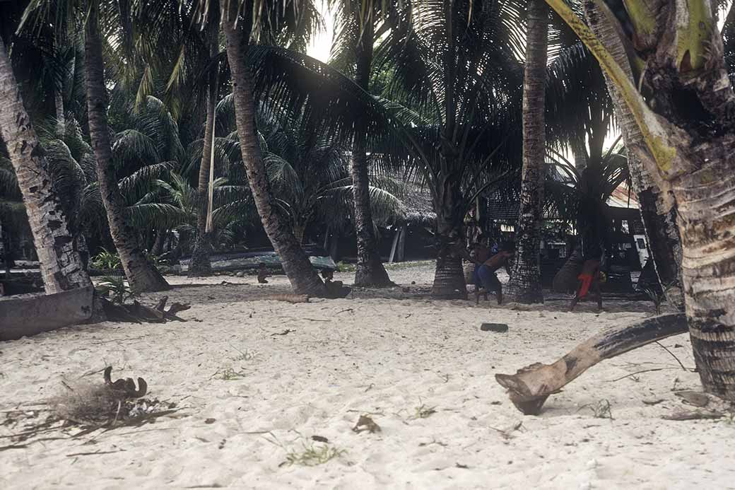 Under the palms, Sorol