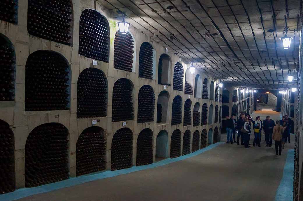 Wine bottles stored in Mileștii Mici