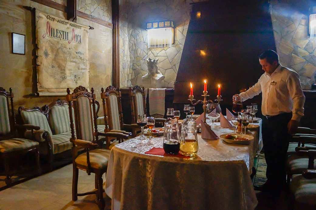 Wine tasting salon, Mileștii Mici