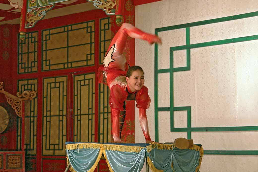 Mongolian contortion