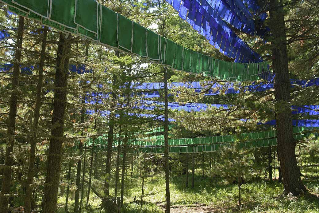 Prayer flags