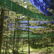 Prayer flags