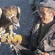 Kazakh eagle hunter