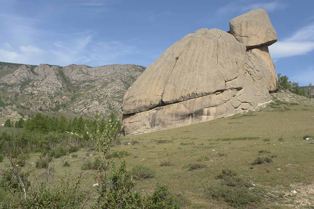 Turtle Rock, Terelj