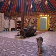 Inside a yurt