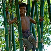 Boy in bamboo