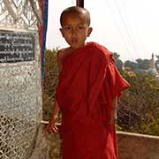 Tiny novice monk