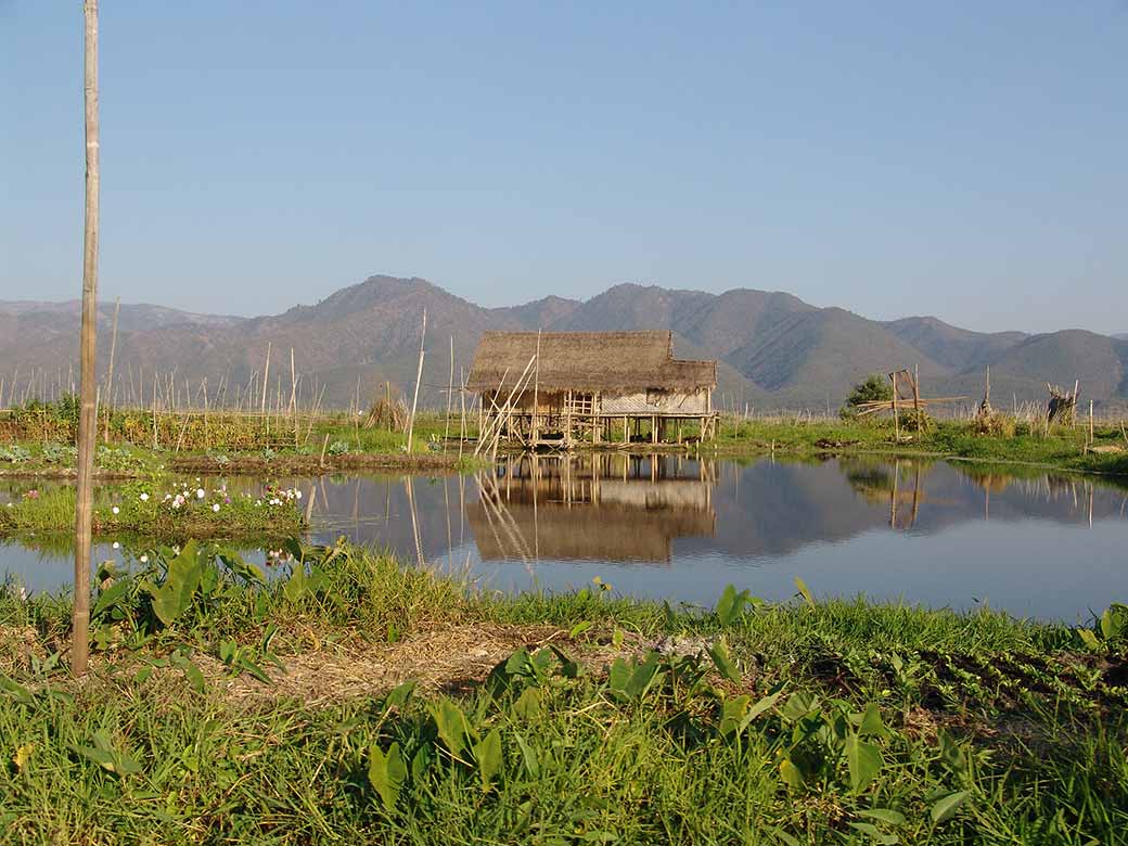 Floating gardens