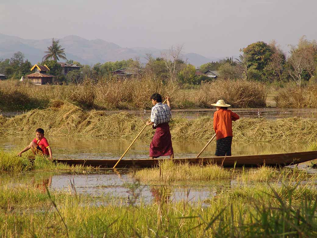 Farmers of Nanthe