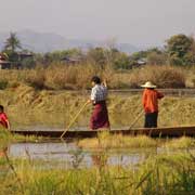 Farmers of Nanthe