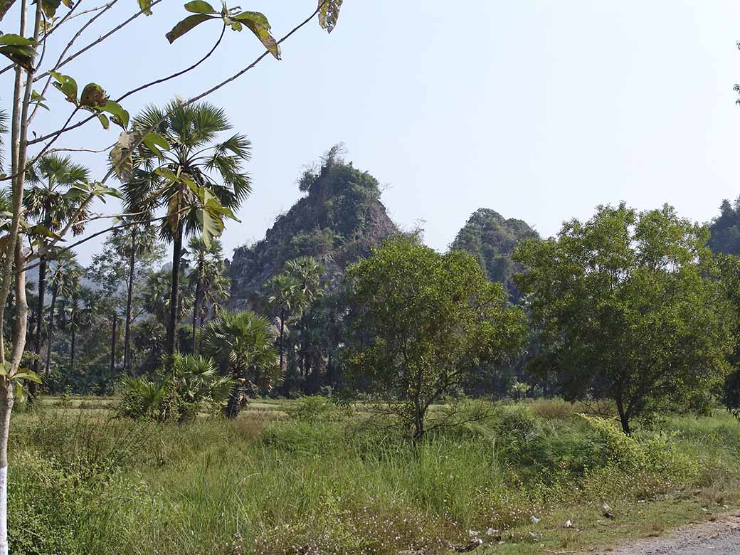 Limestone hills