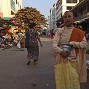 Buddhist nun