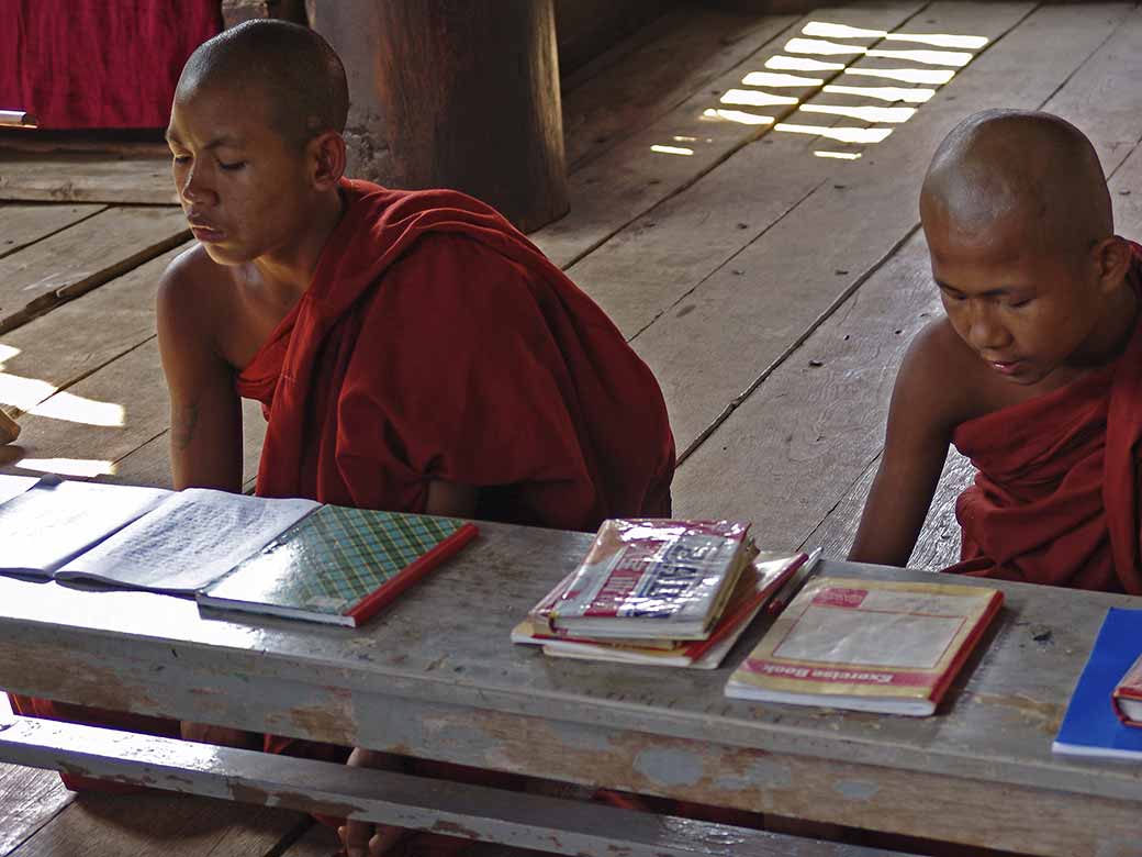 Novice monks studying