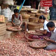 Sorting onions