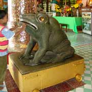 Bronze frog