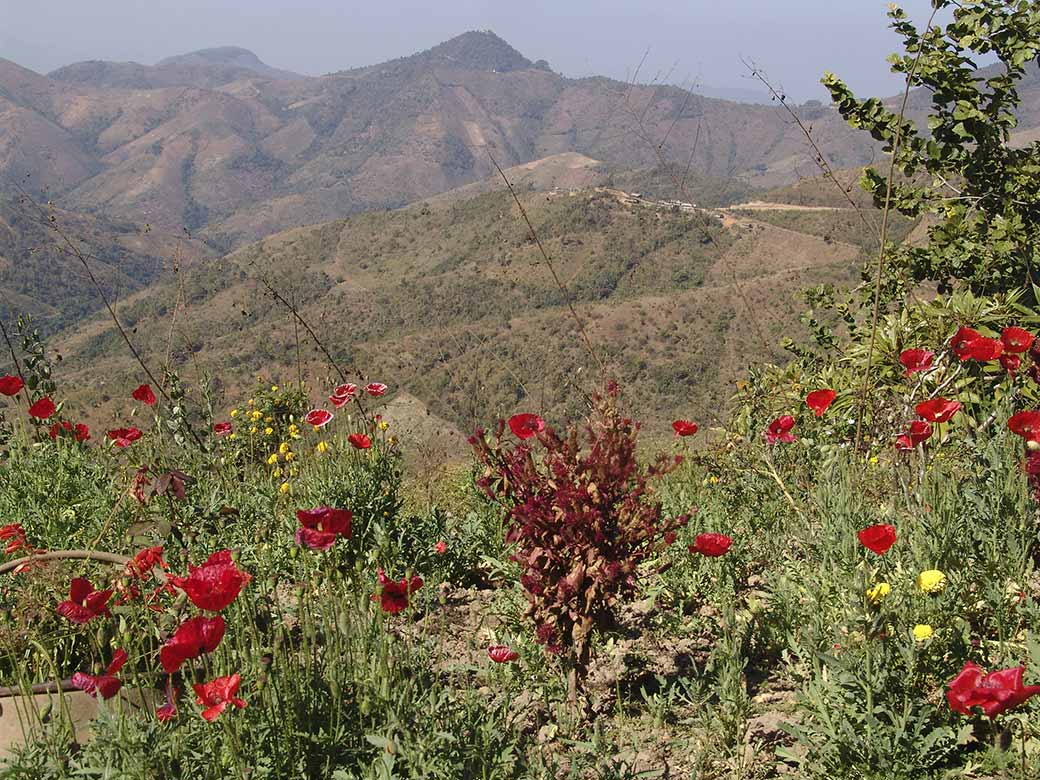 View to Thayan