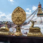 Deer and Dharma Wheel, Boudhanath Stupa