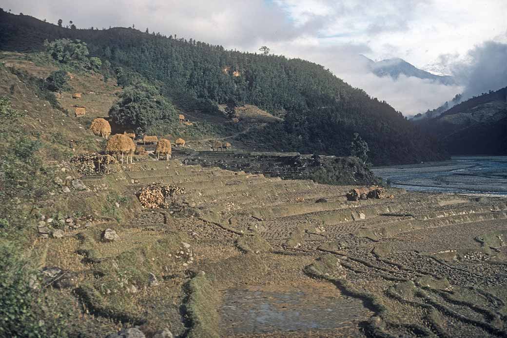 Terraces south of Melamchi