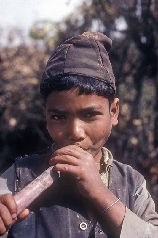 Boy chewing sugar cane