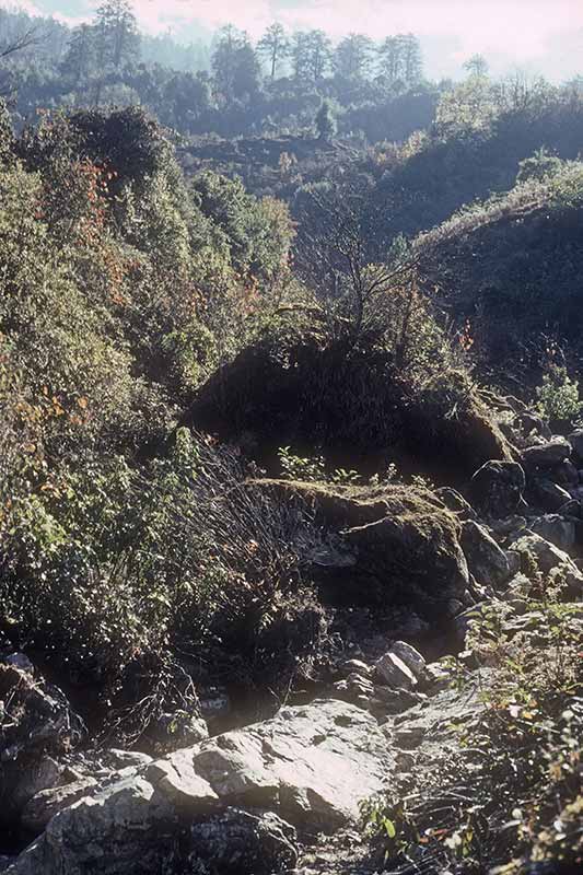 Nature around Tarke Ghyang