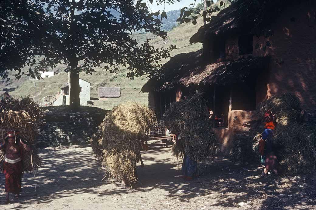 Women carrying heavy loads