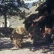 Women carrying heavy loads