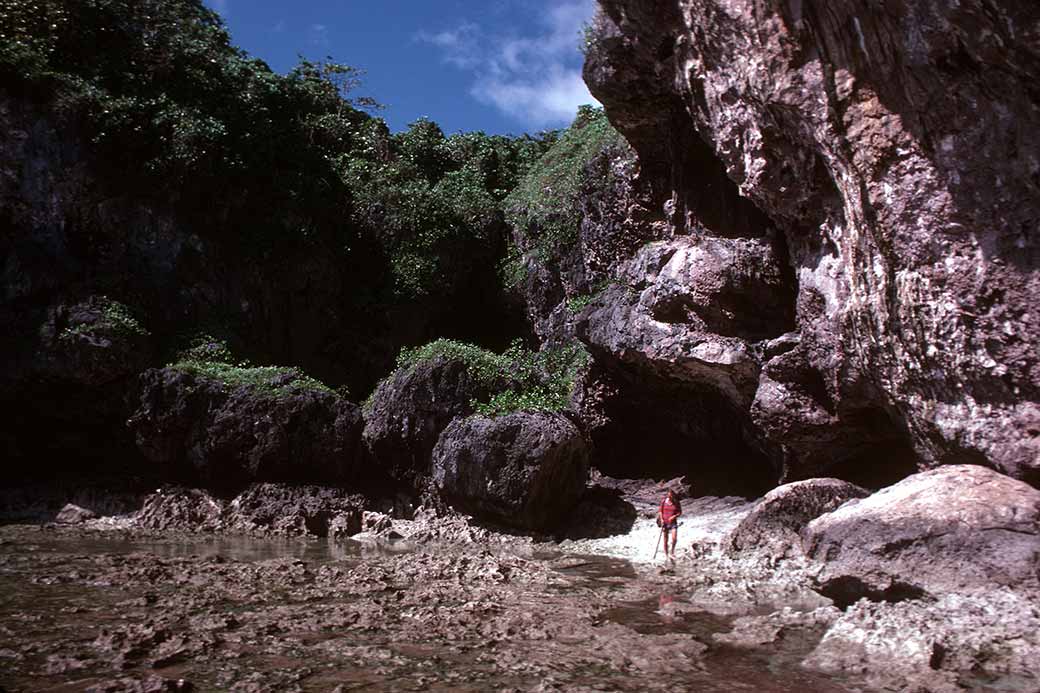 Coast at Avaiki