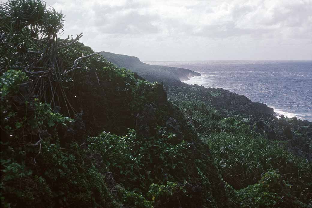 View at Togo