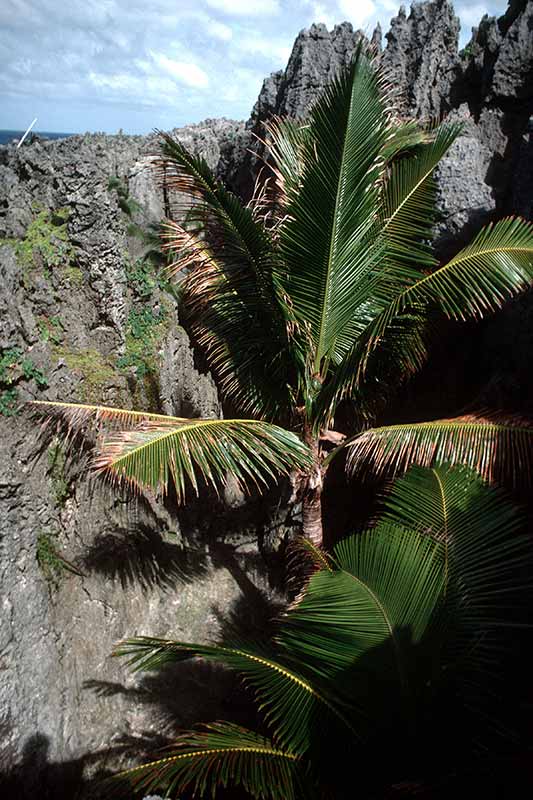 Togo Chasm