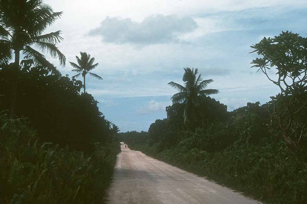 Road on Niue