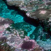 Rock pool at Talava