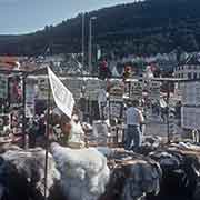 Sale of reindeer fur