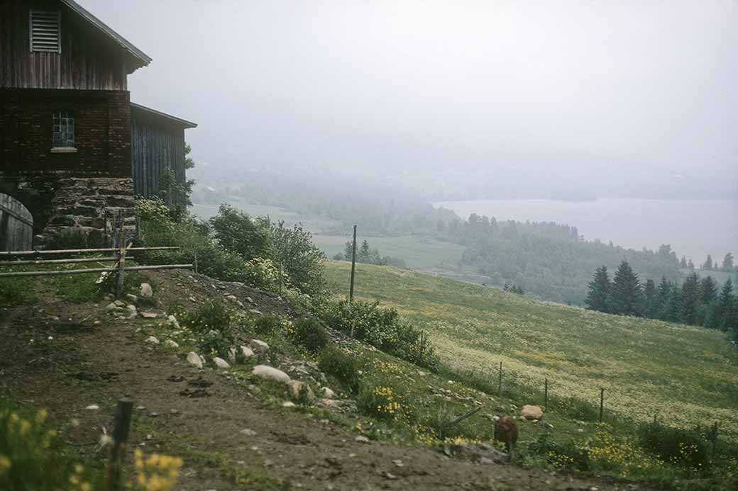 Lake Mjøsa, near Feiring