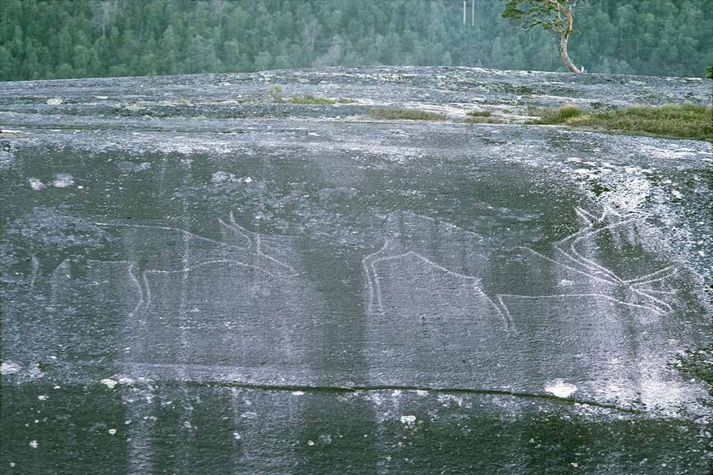 Reindeer rock art, Sagelva