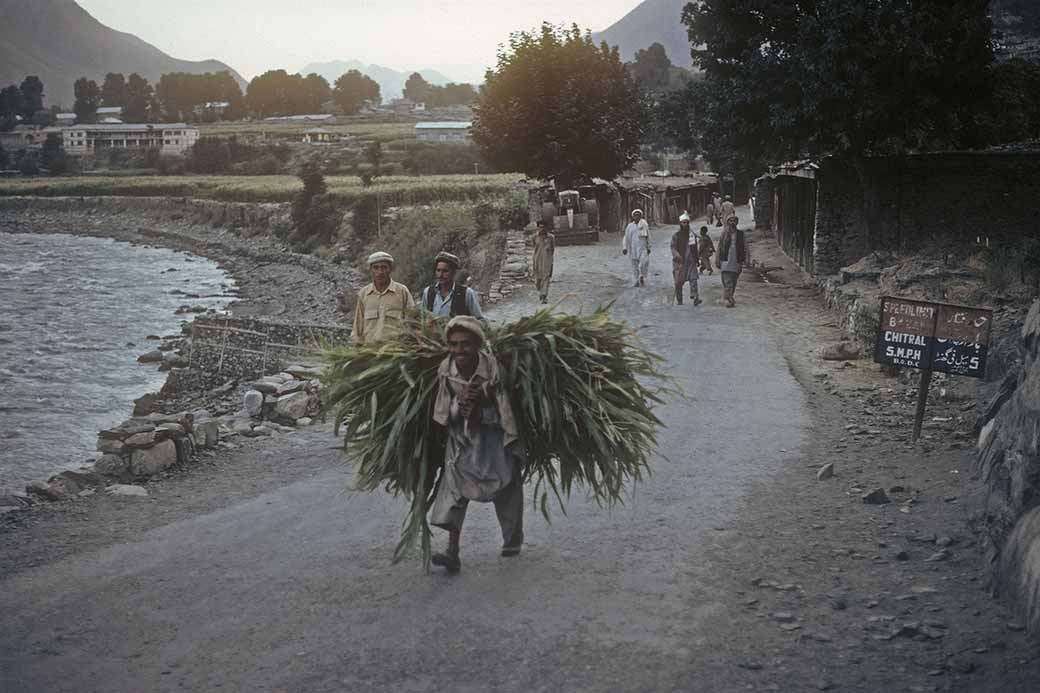 View over Chitral