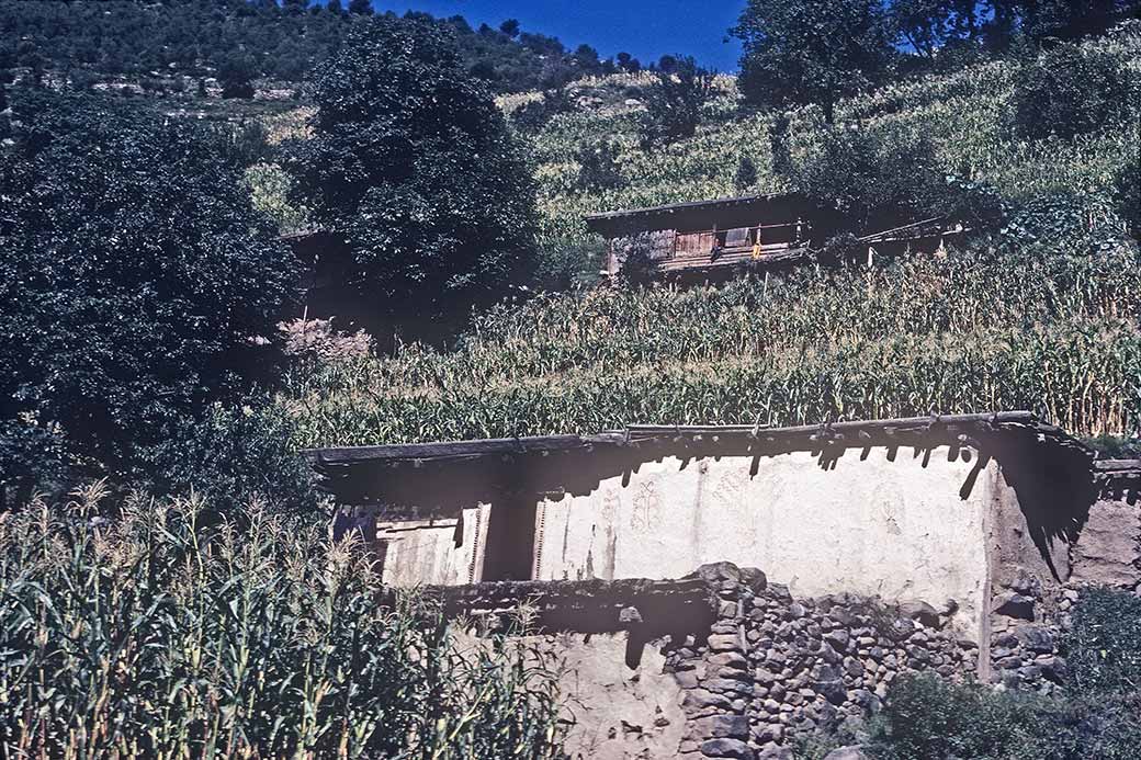 Houses on the hill