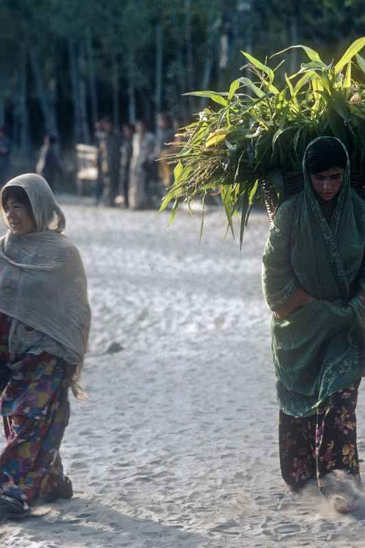 Women carrying basket