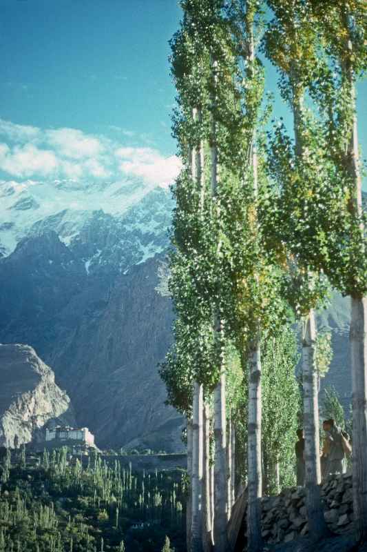 View to Baltit Fort