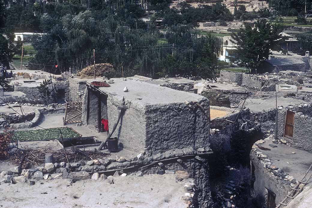 Village from Altit fort