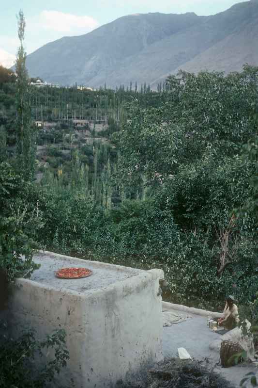 House with peppers on the roof